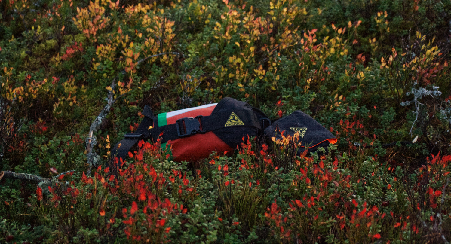 Berry bushes and Morice equipment